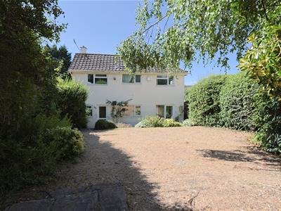Picture 30